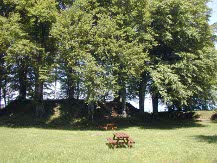 puy de larbre